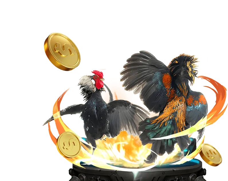 Tổng quan về đá gà trực tuyến tại QQ66 Đăng Nhập